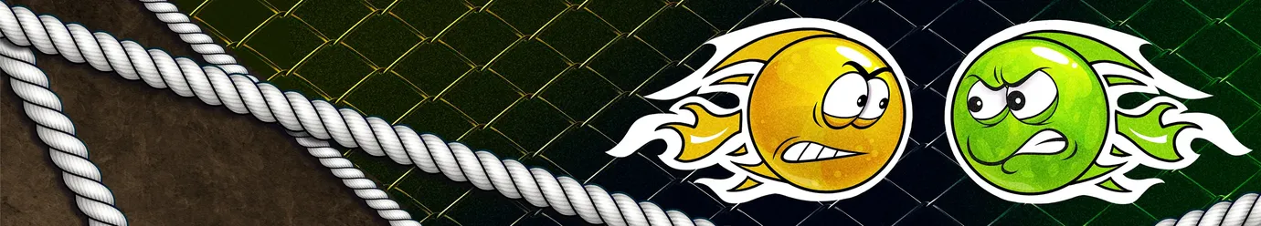 الدوري MMA الدولي